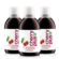Montmorency Sauerkirsch Konzentrat – hochkonzentriert – 1.450 Montmorency-Sauerkirschen pro Flasche, A-Nr.: 4753937 - 01