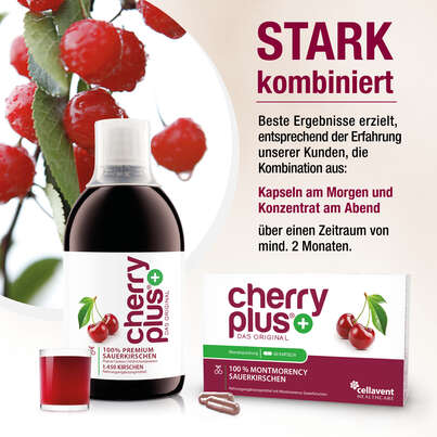 Montmorency-Sauerkirsch Kapseln – hochdosierter Extrakt – 55.000 mg pro Tagesdosis, A-Nr.: 4753883 - 04