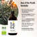 Bio Olivenöl – extra hoher Polyphenol-Gehalt 750 mg / kg – 500 ml, A-Nr.: 5895800 - 03