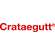 Crataegutt® Flüssigkeit zum Einnehmen, A-Nr.: 4210289 - 05