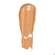 Babor Foundation Matte Finish 01 64510 30ml, A-Nr.: 5580686 - 01