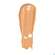 Babor Foundation Matte Finish 03 64510 30ml, A-Nr.: 5580700 - 01