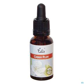 Edis Bio 06 Cherry Plum 20ml, A-Nr.: 4107953 - 01