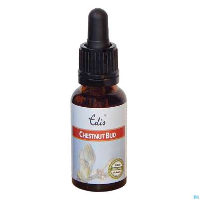 Edis Bio 07 Chestnut Bud 20ml, A-Nr.: 4107976 - 01