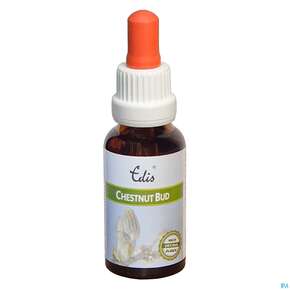 Edis Bio 07 Chestnut Bud Alkoholfrei 20ml, A-Nr.: 4107539 - 01