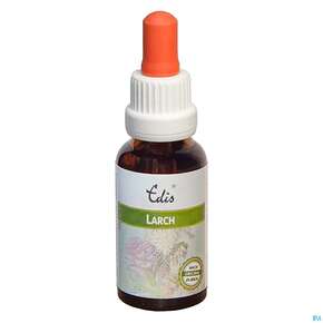 Edis Bio 19 Larch Alkoholfrei 20ml, A-Nr.: 4107657 - 01