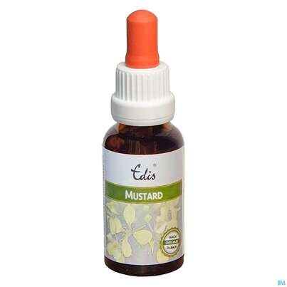 Edis Bio 21 Mustard Alkoholfrei 20ml, A-Nr.: 4107686 - 01