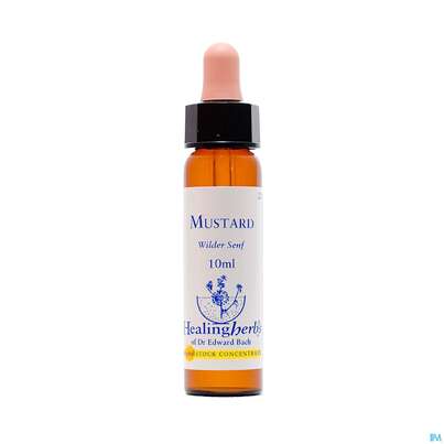 Healing Herbs 21 Mustard 10ml, A-Nr.: 2186368 - 01