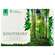 Kinotakara Vitalpads 10st, A-Nr.: 2859293 - 01