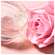 Nuxe Very Rose Clean/mask Reinigungsgelmaske 150ml, A-Nr.: 5301278 - 07
