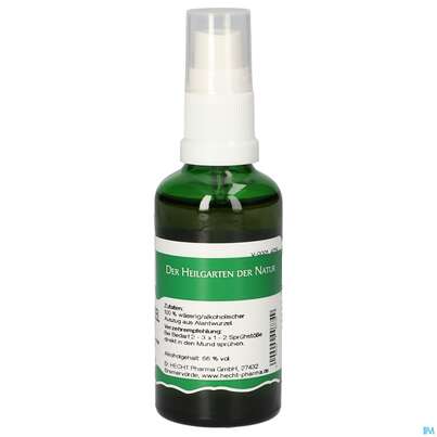 Pater Severin Alantwurzel Spray, A-Nr.: 4854897 - 04