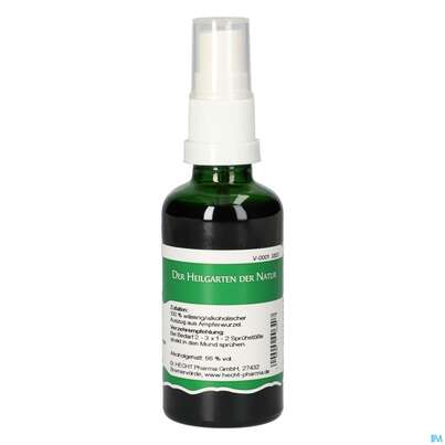 Pater Severin Ampfer Spray, A-Nr.: 4566477 - 01