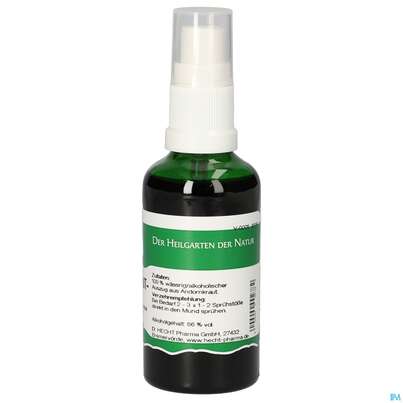 Pater Severin Andornkraut Spray, A-Nr.: 4443378 - 04