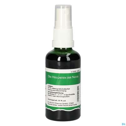 Pater Severin Blasentang Spray, A-Nr.: 4443651 - 01