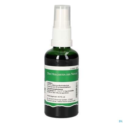 Pater Severin Brombeerblatt Spray, A-Nr.: 4443711 - 01