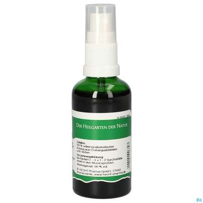 Pater Severin Crataegus Spray, A-Nr.: 4601423 - 01