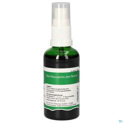 Pater Severin Crataegus Spray, A-Nr.: 4601423 - 04