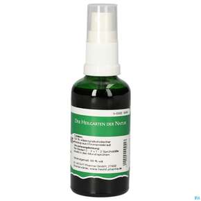 Pater Severin Ehrenpreiskraut Spray, A-Nr.: 4484265 - 01