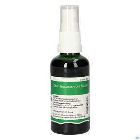 Pater Severin Eschscholtzia Spray, A-Nr.: 4878202 - 01