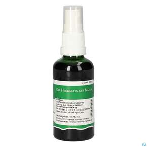 Pater Severin Ginkgo Spray, A-Nr.: 5303610 - 01