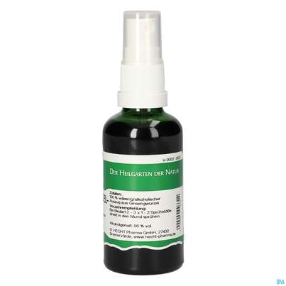 Pater Severin Ginsengwurzel Spray, A-Nr.: 4443964 - 04