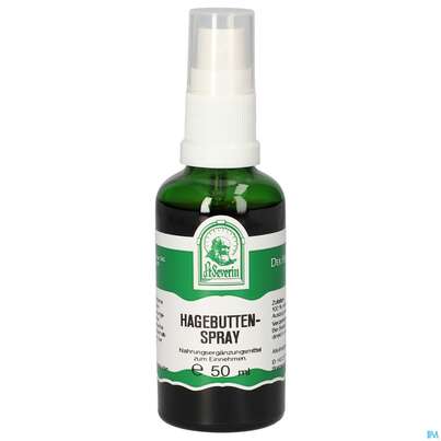 Pater Severin Hagebutten Spray, A-Nr.: 4444018 - 03