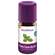 Taoasis Basilikumöl Bio|demeter 5ml, A-Nr.: 3162358 - 02
