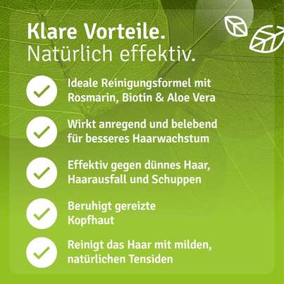 Rosmarin Shampoo mit Biotin, A-Nr.: 5955577 - 05