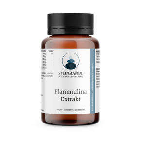 STEINMANDL FLAMMULINA EXTRAKT KPS 60ST, A-Nr.: 5962353 - 01