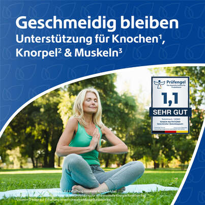 Sie sehen eine Packung R(h)ein Nutrition Gelenkfutter Komplex Gelenkkapseln, Produktbild: 02 R(h)ein Nutrition Gelenkfutter Komplex Gelenkkapseln, A-Nr.: 5987169 - 02
