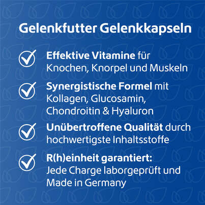 Sie sehen eine Packung R(h)ein Nutrition Gelenkfutter Komplex Gelenkkapseln, Produktbild: 03 R(h)ein Nutrition Gelenkfutter Komplex Gelenkkapseln, A-Nr.: 5987169 - 03