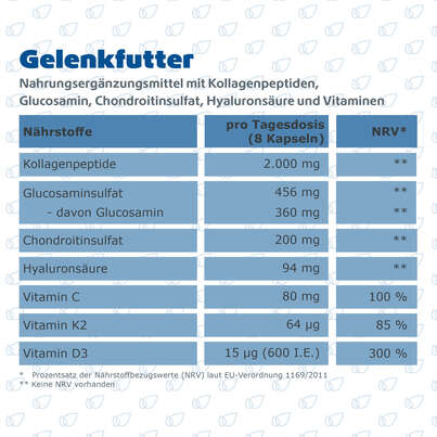 Sie sehen eine Packung R(h)ein Nutrition Gelenkfutter Komplex Gelenkkapseln, Produktbild: 08 R(h)ein Nutrition Gelenkfutter Komplex Gelenkkapseln, A-Nr.: 5987169 - 08