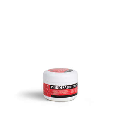 Sie sehen eine Packung Magister Doskar Pferdesalbe 100ml, Produktbild: 01 Magister Doskar Pferdesalbe 100ml, A-Nr.: 3128574 - 01