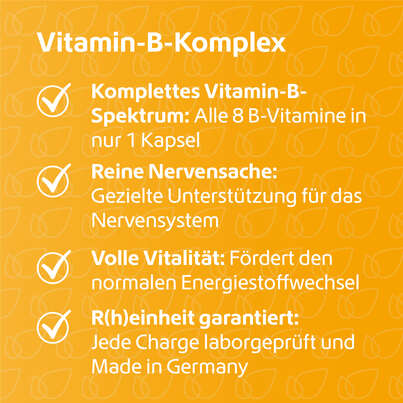 Sie sehen eine Packung R(h)ein Nutrition Vitamin-B-Komplex Kapseln hochdosiert, Produktbild: 03 R(h)ein Nutrition Vitamin-B-Komplex Kapseln hochdosiert, A-Nr.: 5987235 - 03