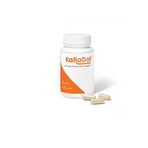 KaRaDol magensaftresistente Kapseln 60 Stk., A-Nr.: 5882424 - 01