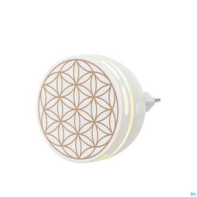 Primavera Duftstecker Easy Fuer Die Steckdose 1st, A-Nr.: 5907294 - 03