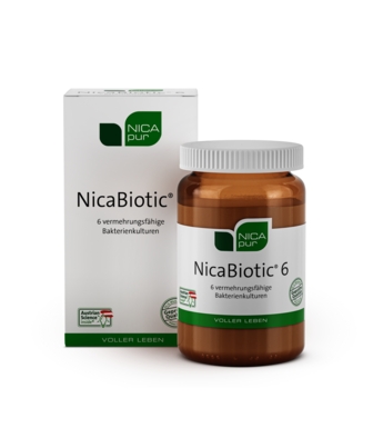 nicapur NicaBiotic® 6, A-Nr.: 3851307 - 01