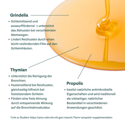 Sie sehen eine Packung Propolis Hustensirup, Produktbild: 06 Propolis Hustensirup, A-Nr.: 6022706 - 06