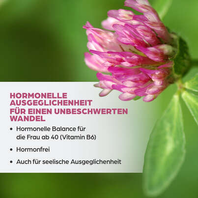 Dr. Böhm Isoflavon mit Griffonia, A-Nr.: 4356610 - 03