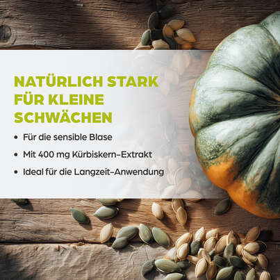 Dr. Böhm Kürbis für die Frau, A-Nr.: 4846076 - 03