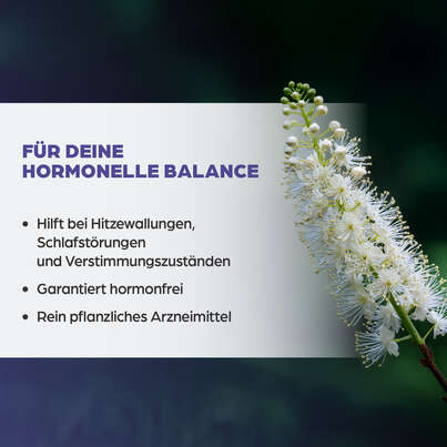 Sie sehen eine Packung Dr. Böhm Traubensilberkerze, Produktbild: 03 Dr. Böhm Traubensilberkerze, A-Nr.: 3524353 - 03