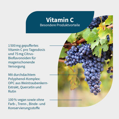 NatuGena Vitamin C Kapseln, A-Nr.: 5404185 - 02