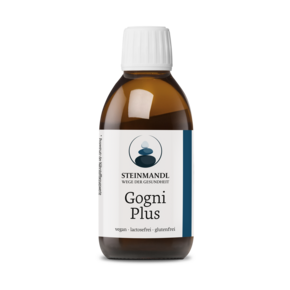 Steinmandl CogniPlus, A-Nr.: 6039641 - 01