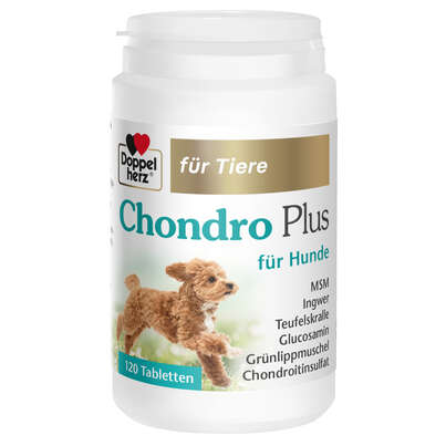 Doppelherz für Tiere Chondro Plus für Hunde, A-Nr.: 5955778 - 01