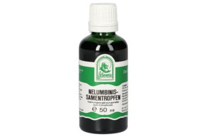 NELUMBINISSAMEN TROPFEN 50 ML, A-Nr.: 4566017 - 01