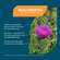 NatuGena Mariendistel 500, A-Nr.: 6110379 - 02