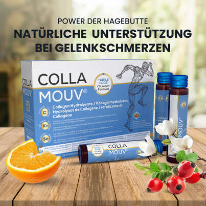 Sie sehen eine Packung CollaMouv® Original, Produktbild: 04 CollaMouv® Original, A-Nr.: 6118033 - 04