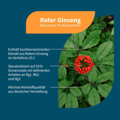 NatuGena Roter Ginseng Kapseln, A-Nr.: 6036051 - 02