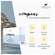 Sie sehen eine Packung Arktis Arktibiotic Pulver Compens 270g, Produktbild: 05 Arktis Arktibiotic Pulver Compens 270g, A-Nr.: 4750353 - 05