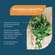 Sie sehen eine Packung NatuGena BactoGena Liquid Plus, Produktbild: 02 NatuGena BactoGena Liquid Plus, A-Nr.: 6139348 - 02